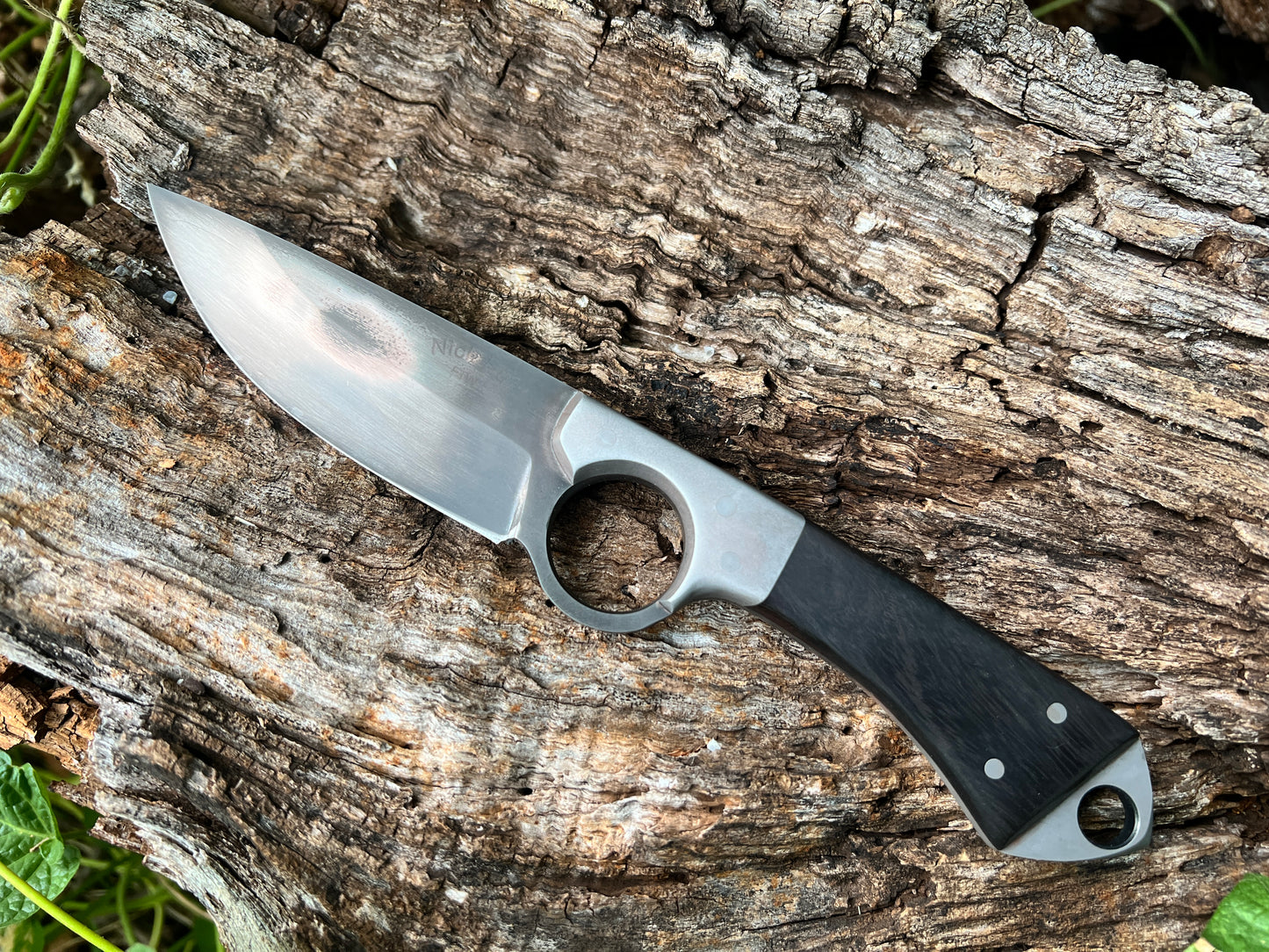 Texas Tornado (Desert Ironwood) #2