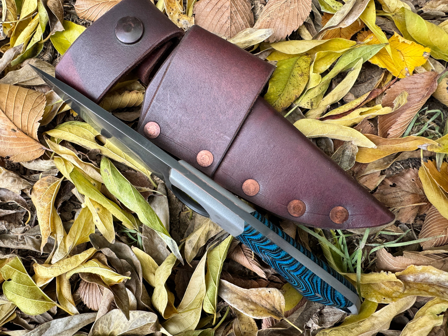 Texas Tornado(Blue Banshee)