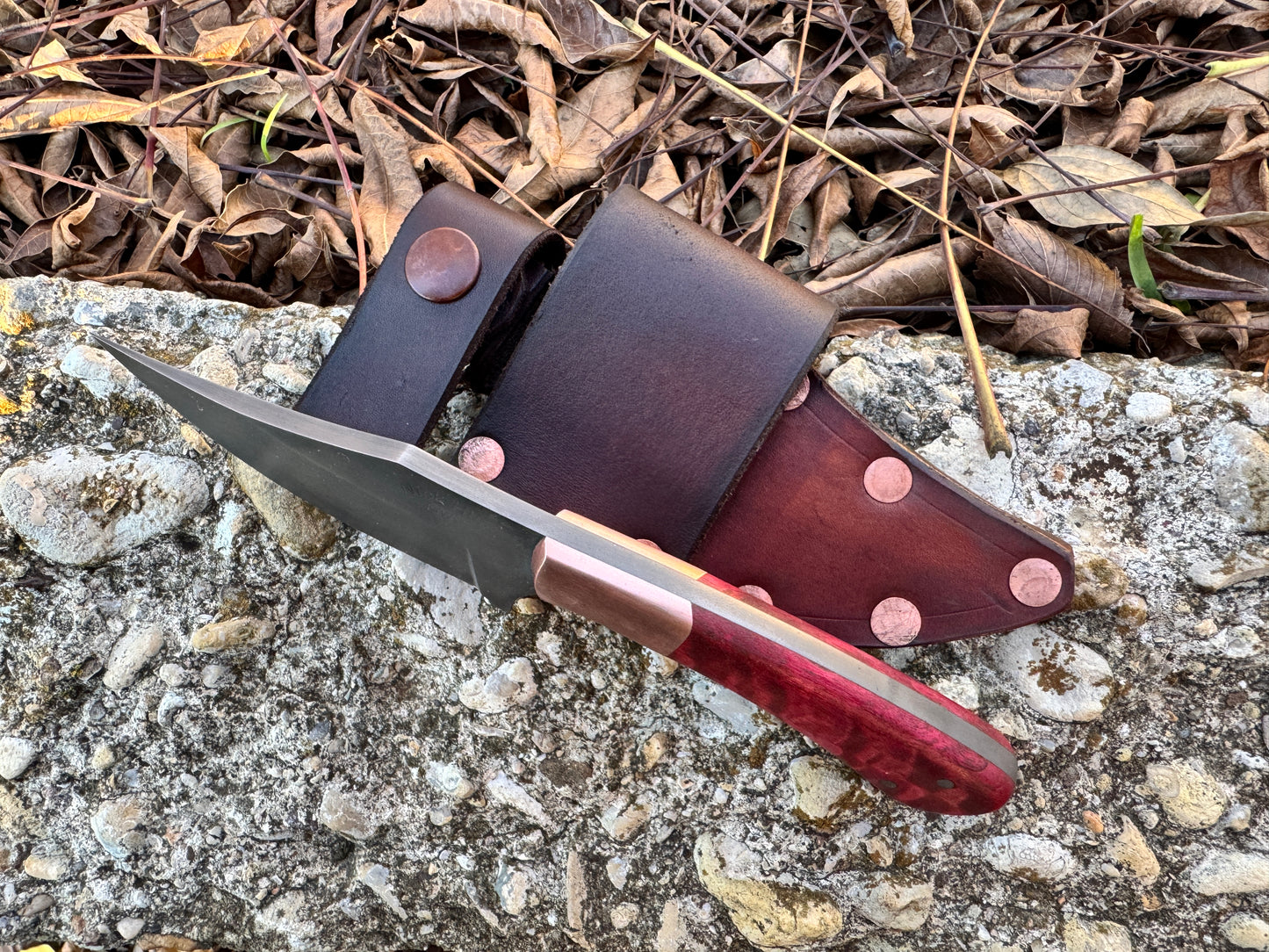 Triadan  w/Red Dyed Curly Maple